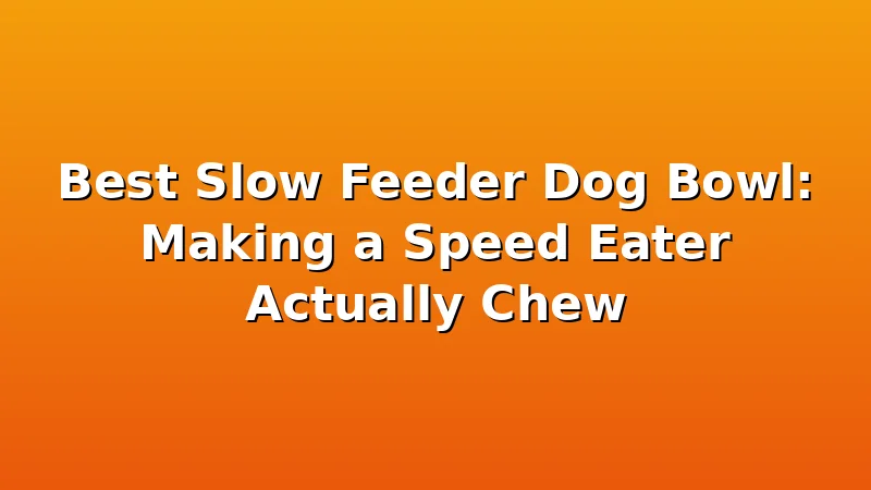 Best Slow Feeder Dog Bowl: Making a Speed Eater Actually Chew - FeedWhisk review with measurements and honest opinion